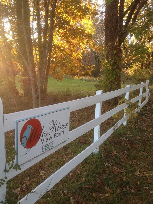Miles River Guest House Easton Luaran gambar